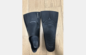 Palmes Nabaiji taille 33/34